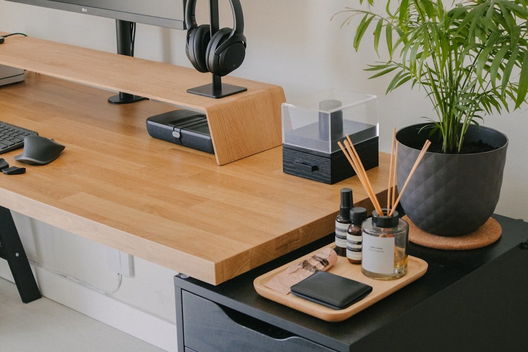 Organized office desk with laptop and plant